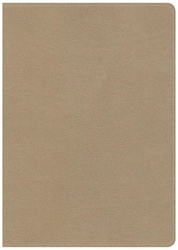 CSB She Reads Truth Bible, Champagne Gold LeatherTouch