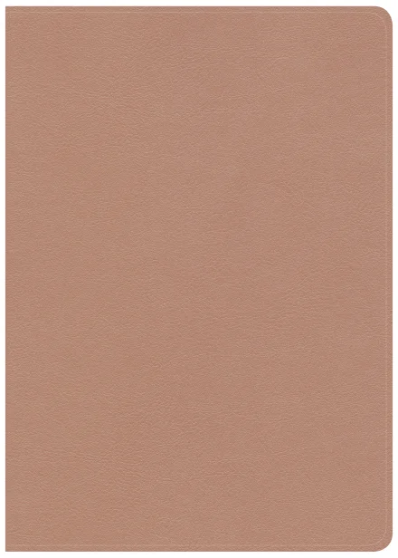 CSB She Reads Truth Bible, Rose Gold LeatherTouch