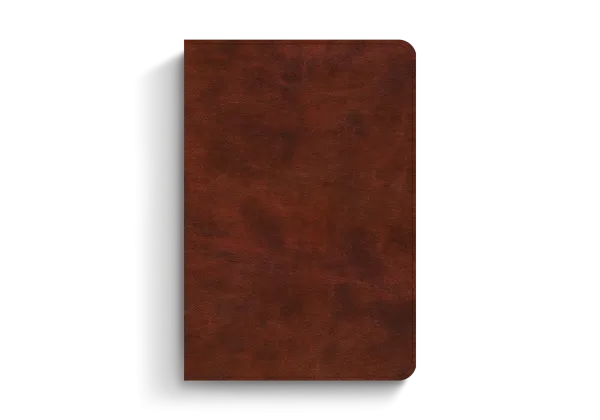 ESV Bible Promises