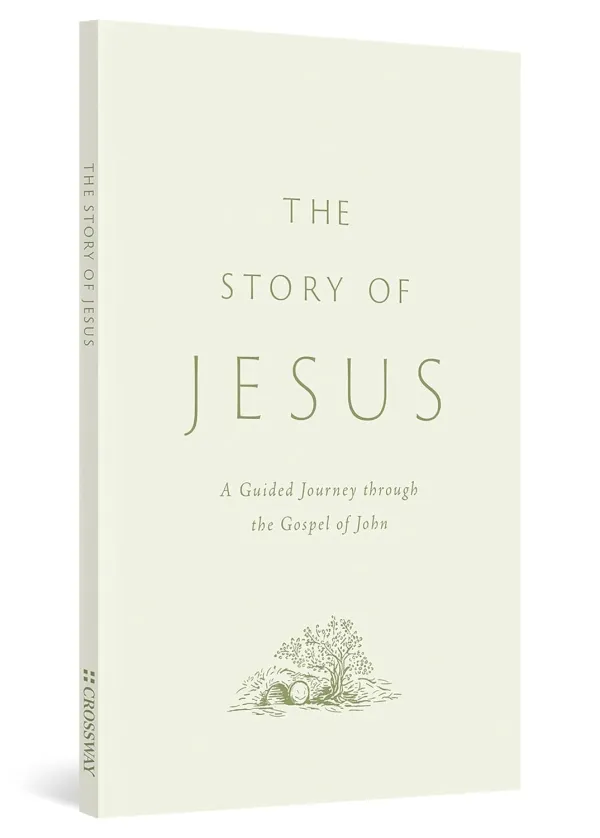 The Story of Jesus