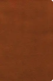 CSB Giant Print Reference Bible, Digital Study Edition, Burnt Sienna LeatherTouch, Indexed