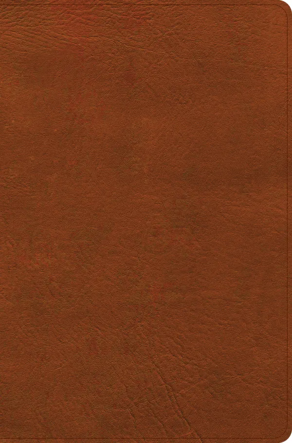 CSB Giant Print Reference Bible, Digital Study Edition, Burnt Sienna LeatherTouch, Indexed