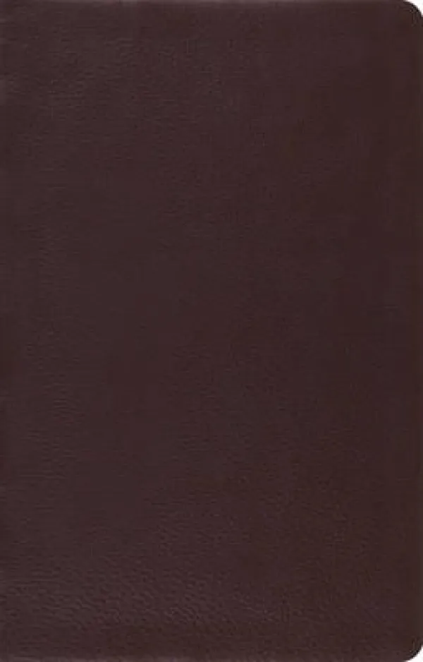 ESV Large Print Thinline Reference Bible (Brown Bonded Leather)