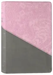 NIV Personal Size Bible, Large Print, Red Letter, Comfort Print