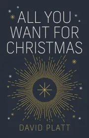All You Want For Christmas