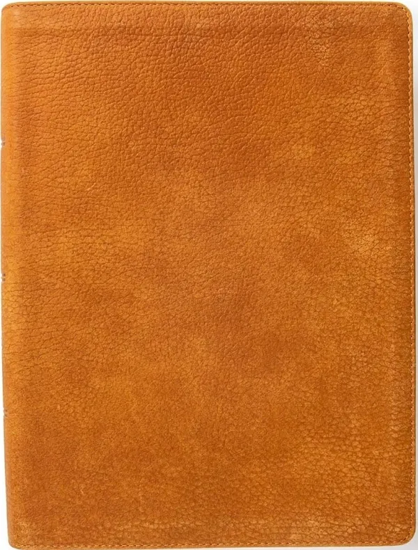 CSB Lifeway Women's Bible, Butterscotch Genuine Leather