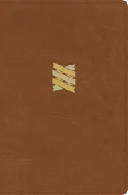 CSB Connecting Scripture New Testament, Brown Leathertouch