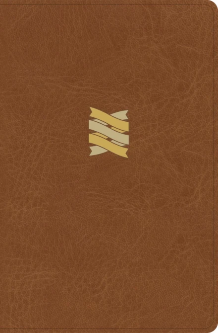CSB Connecting Scripture New Testament, Brown Leathertouch