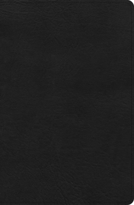 CSB Connecting Scripture New Testament, Black Genuine Leather