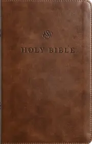 ESV Premium Church Bible, TruTone, Brown