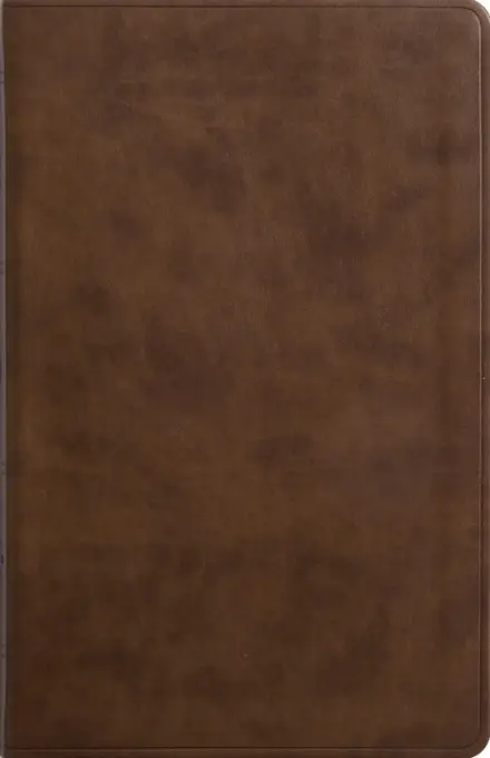 ESV Premium Gift Bible, TruTone, Brown