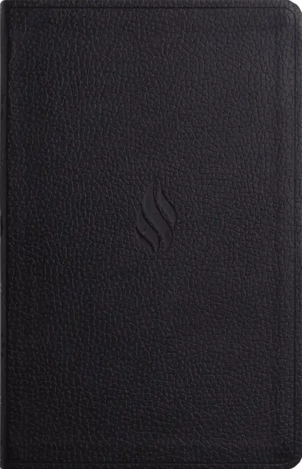 ESV Premium Gift Bible, TruTone, Midnight, Flame Design