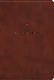 ESV Value Large Print Compact Bible, TruTone, Chestnut