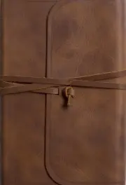 ESV Thinline Bible, Red Letter, Natural Leather, Brown, Flap with Strap