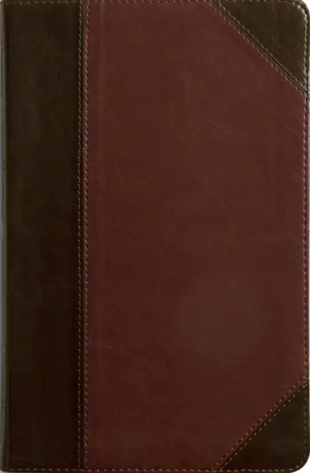 ESV Thinline Bible, Red Letter, TruTone, Brown/Cordovan, Portfolio Design