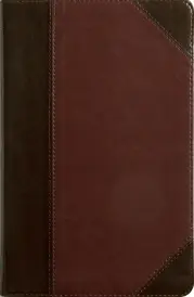 ESV Thinline Bible, Red Letter, TruTone, Brown/Cordovan, Portfolio Design