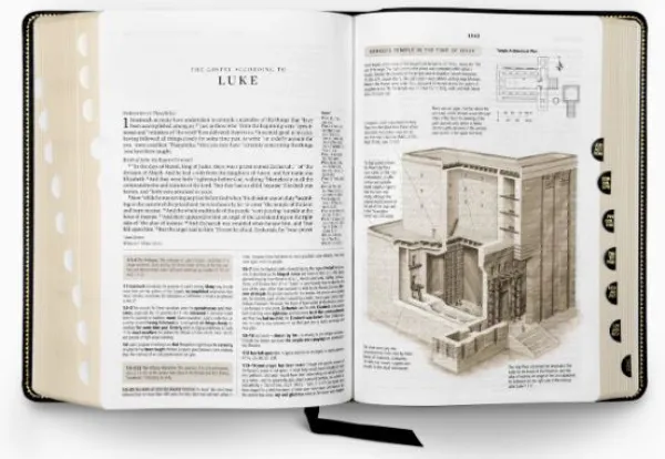 ESV Study Bible, Large Print