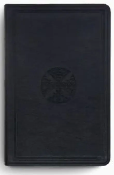 ESV Large Print Value Thinline Bible