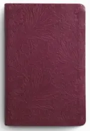 ESV Large Print Value Thinline Bible