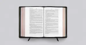 product.name