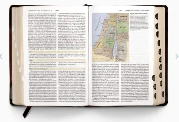 ESV Study Bible