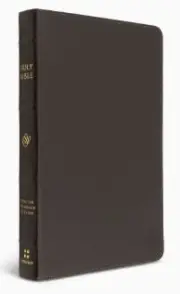 ESV Thinline Bible (Buffalo Leather, Deep Brown)