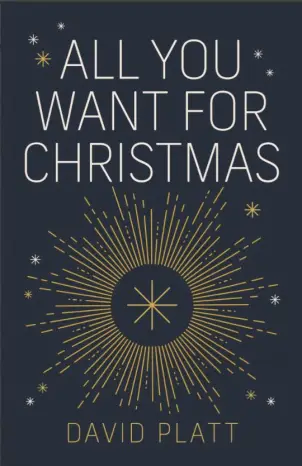 All You Want For Christmas