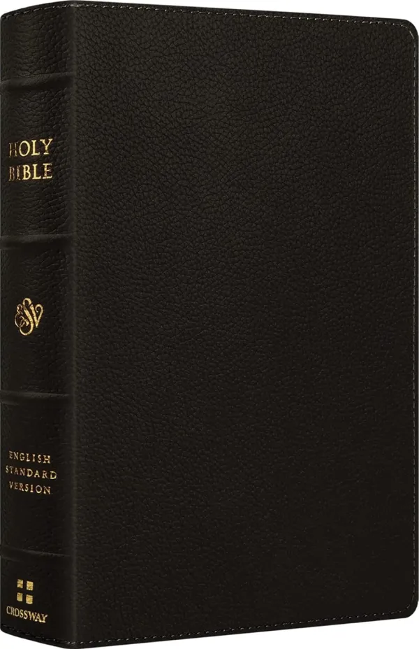 ESV Large Print Personal Size Bible, Red Letter