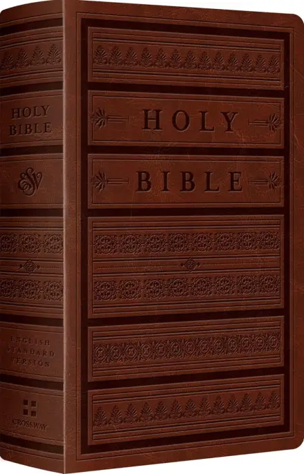 ESV Large Print Personal Size Bible
