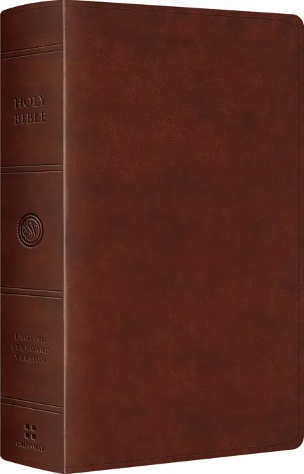 ESV Large Print Personal Size Bible