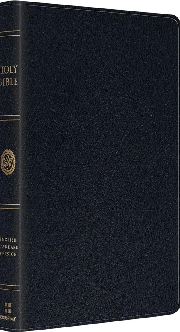 ESV Large Print Thinline Bible (Genuine Leather, Black)