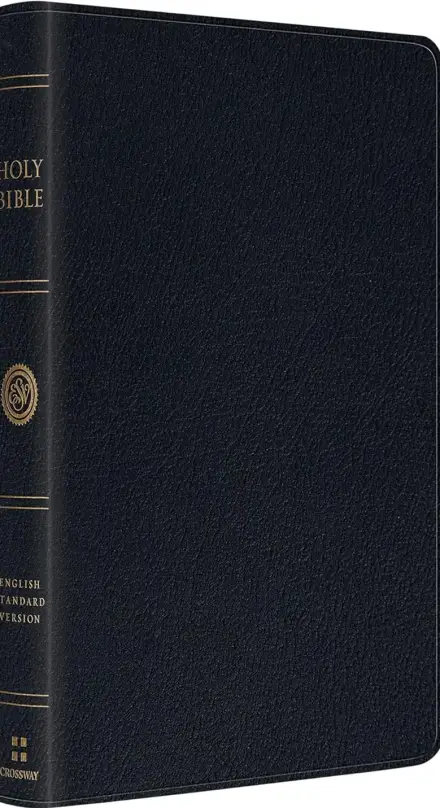 ESV Large Print Thinline Bible (Genuine Leather, Black)