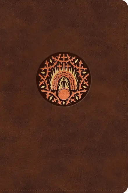 ESV The Biggest Story Holy Bible for Kids