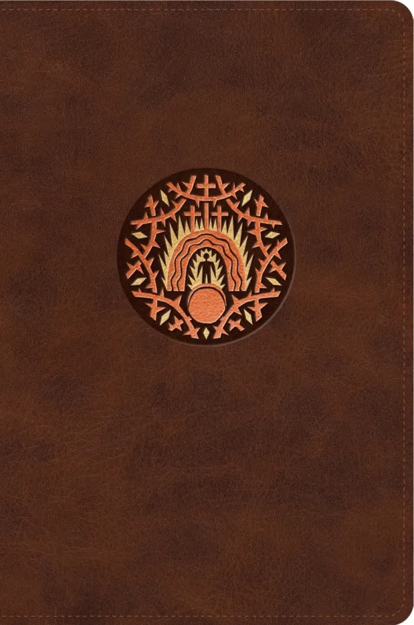 ESV The Biggest Story Holy Bible for Kids