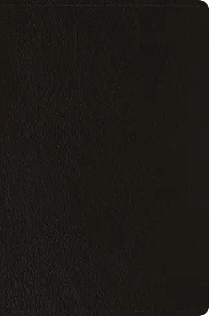 product.name