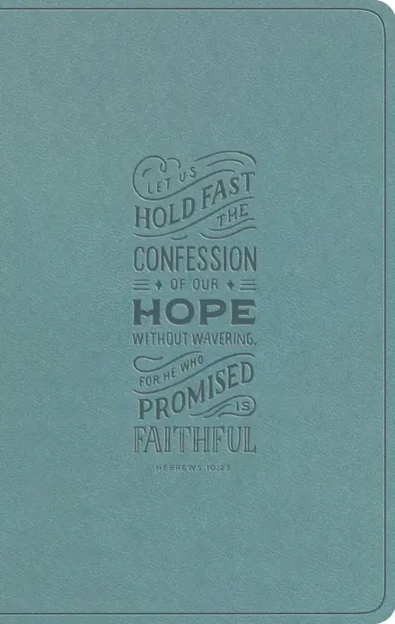 ESV Large Print Value Thinline Bible (TruTone, Paris Sky, Hebrews 10:23)