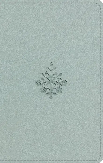 ESV Large Print Value Thinline Bible (TruTone, River Stone, Branch)