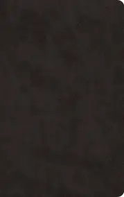 ESV Large Print Value Thinline Bible (TruTone, Black)