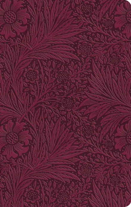 ESV Large Print Value Thinline Bible (TruTone, Raspberry, Floral)