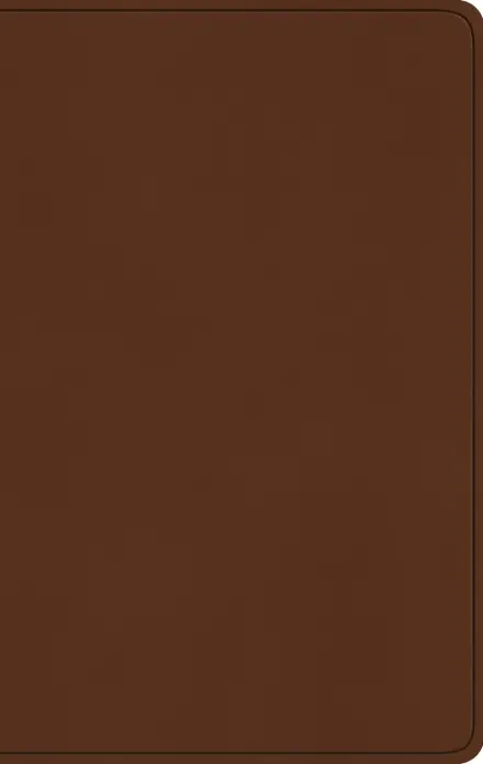 ESV Large Print Value Thinline Bible (TruTone, Camel)