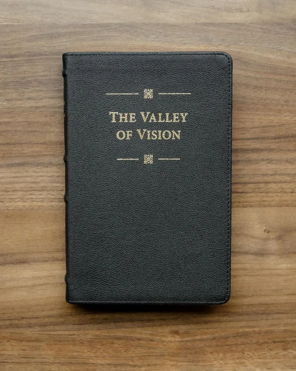 The Valley of Vision