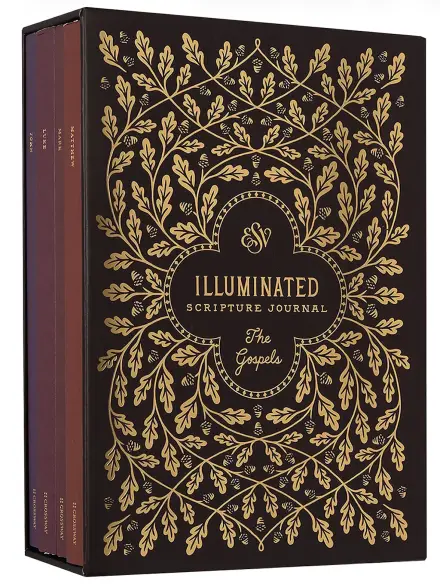 ESV Illuminated Scripture Journal: Gospels Set