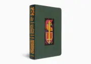 ESV The Biggest Story Holy Bible for Kids