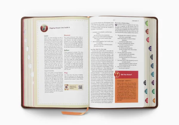 ESV The Biggest Story Holy Bible for Kids