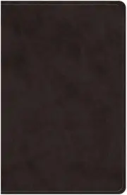 ESV Giant Print Value Personal Size Bible (TruTone, Black)