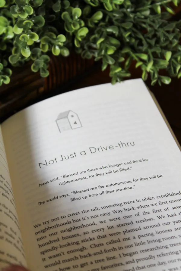 Neighborhoods Reimagined