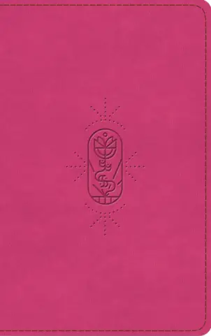 ESV Kid's Bible, Thinline TruTone®