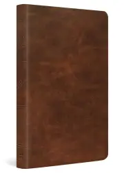ESV Thinline Bible (Full Grain Leather, Deep Brown)