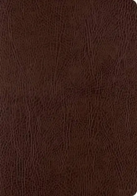 ESV Single Column Journaling Bible Large Print Bonded Leather Mocha