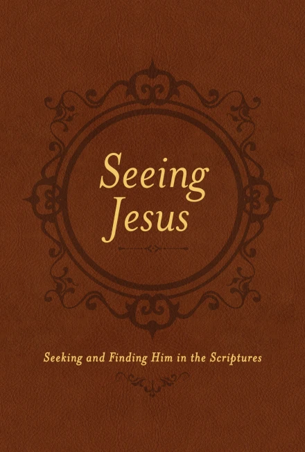 Seeing Jesus